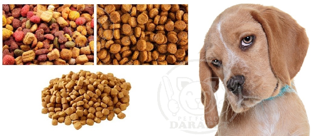 خرید انواع غذای خشک سگ بالغ