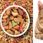 پخش کننده غذای خشک گربه ارزان