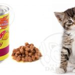 مرجع خرید کنسرو غذا بچه گربه
