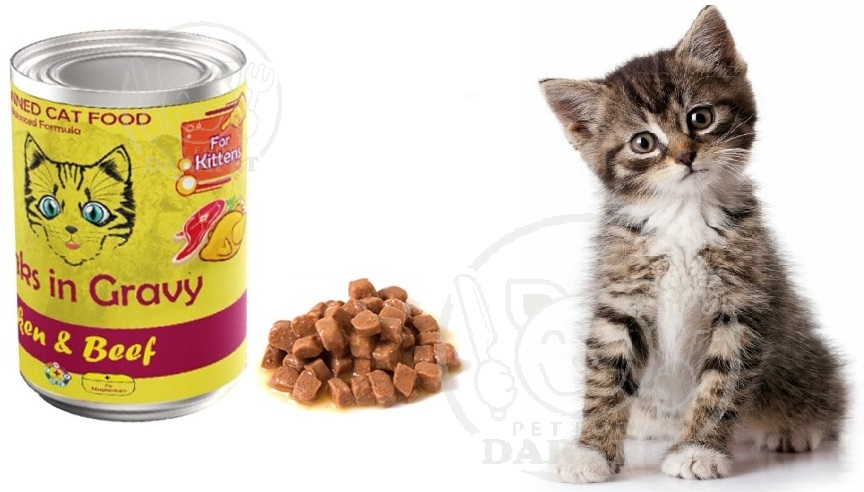 مرجع خرید کنسرو غذا بچه گربه