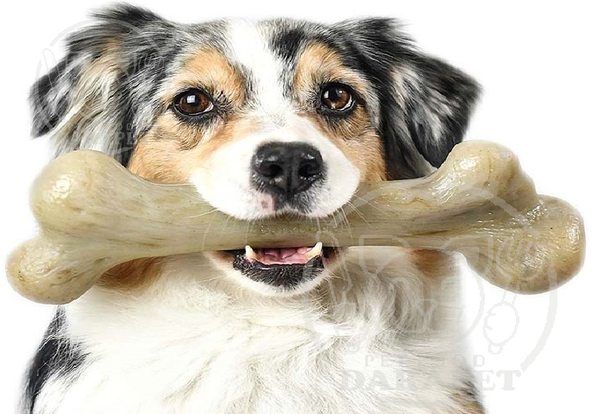 خاصیت استخوان تشویقی سگ