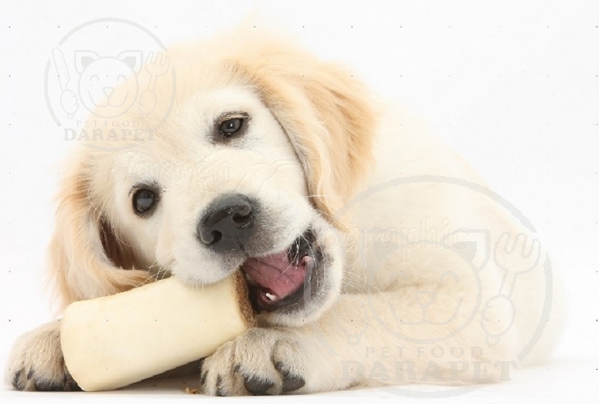 میزان کلسیم تشویقی دندانی سگ