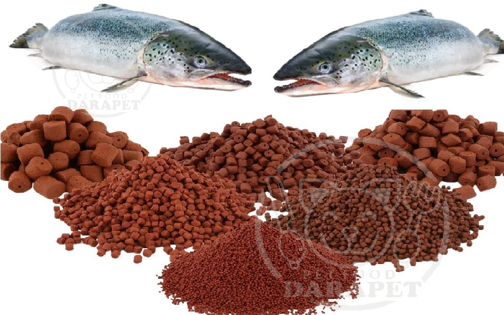 مراکز تولید خوراک پرواری ماهی قزل آلا