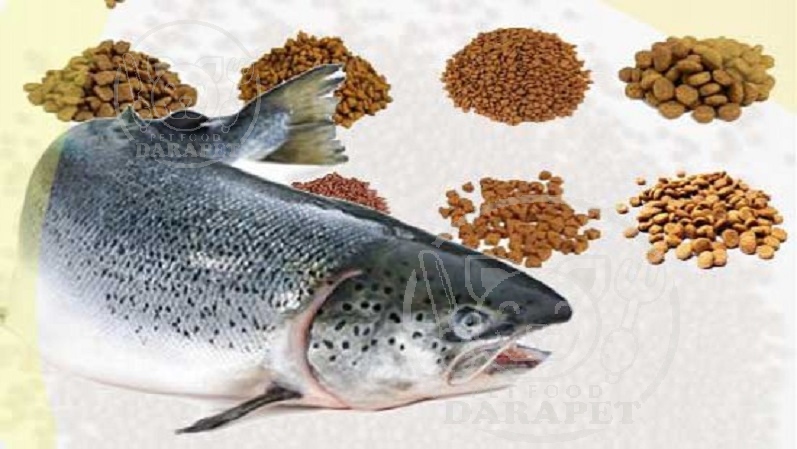 پخش کننده خوراک پرواری ماهی قزل آلا
