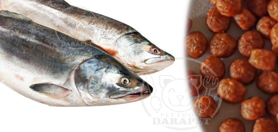 میزان سود حاصل از فروش غذای ماهی قزل آلا