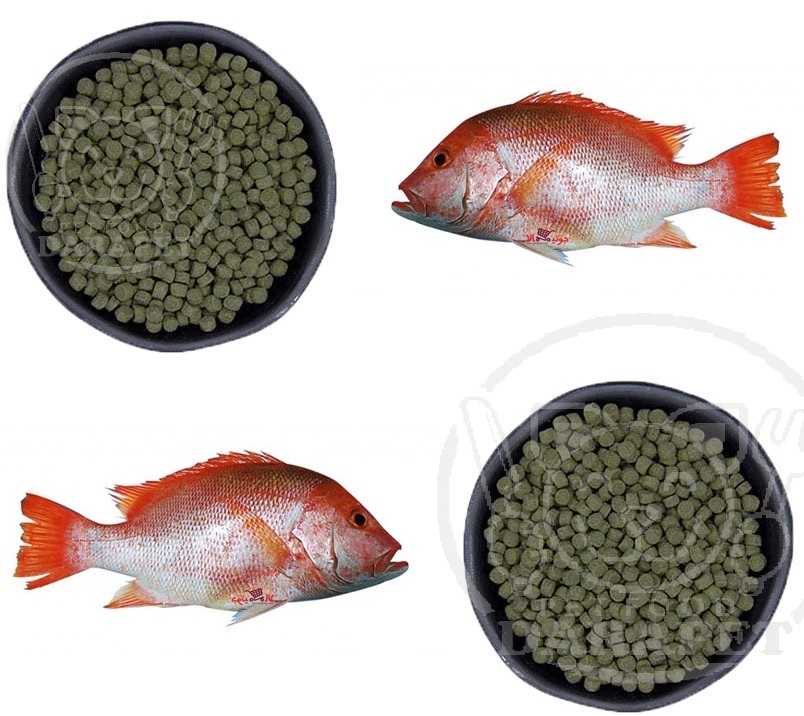 فروش آنلاین خوراک ماهی گرمابی با تخفیف ویژه