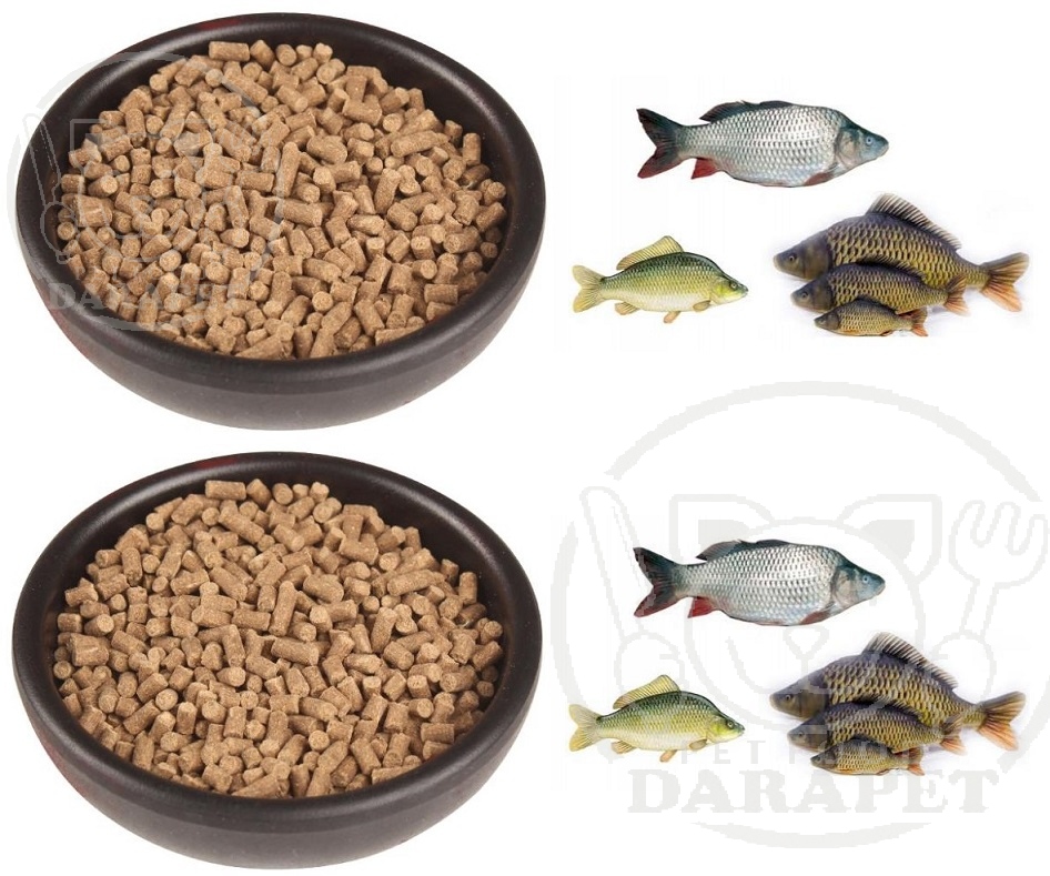 بررسی قیمت فروش انواع خوراک ماهی کپور برای صادرات