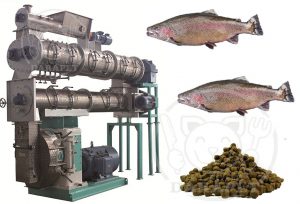 بزرگترین کارخانه تولید خوراک ماهی قزل آلا در ایران